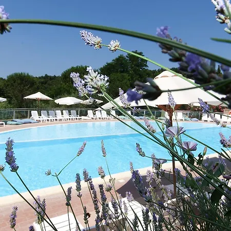 Il Borgo-5 By Interhome Apartamento Casale Marittimo
